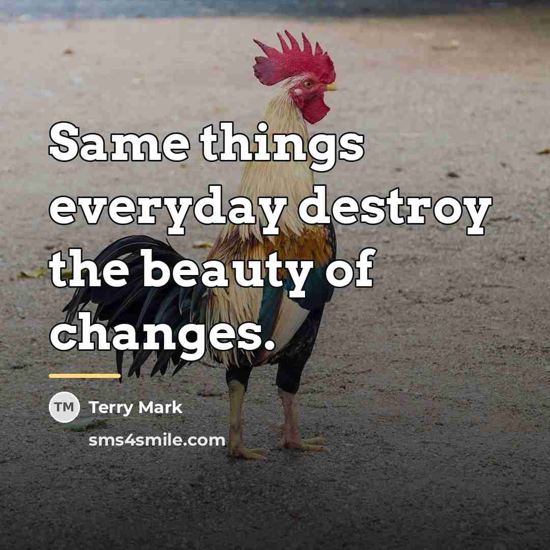 “Same things everyday destroy the beauty of changes.…” quote by Terry Mark