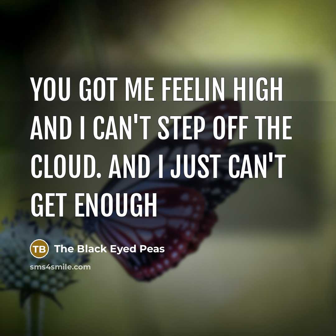 “You got me feelin high and I can't step off…” quote by The Black Eyed Peas