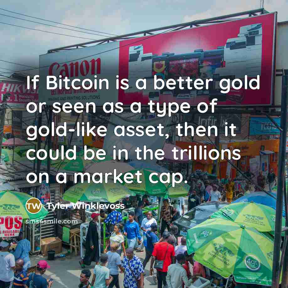 “If Bitcoin is a better gold or seen as a…” quote by Tyler Winklevoss