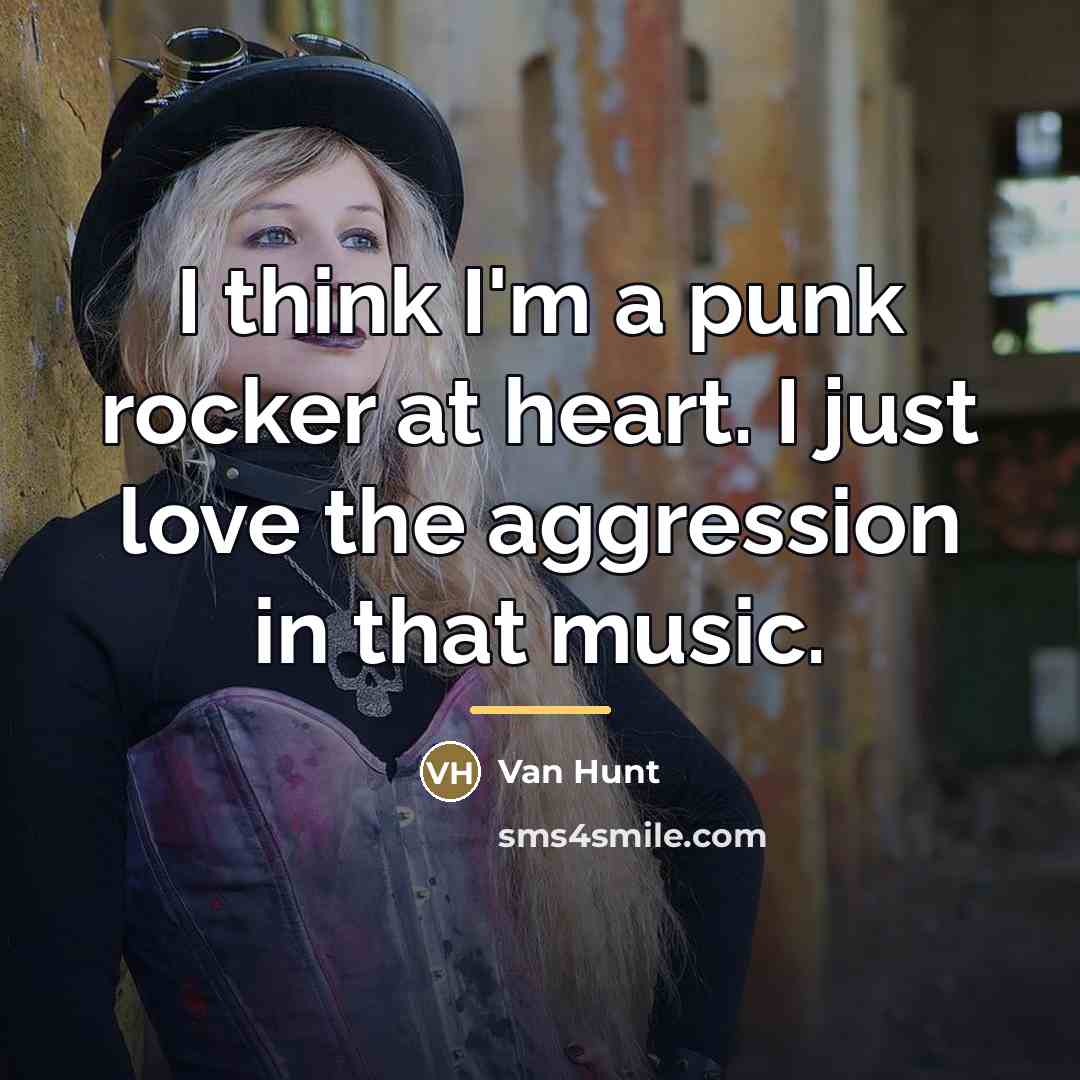 “I think I'm a punk rocker at heart. I just…” quote by Van Hunt