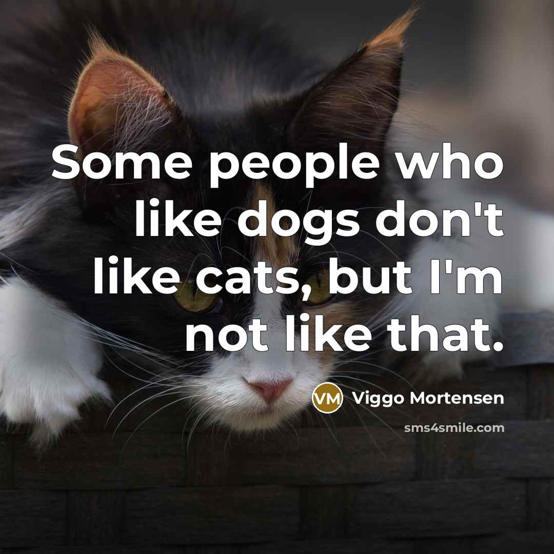“Some people who like dogs don't like cats, but I'm…” quote by Viggo Mortensen