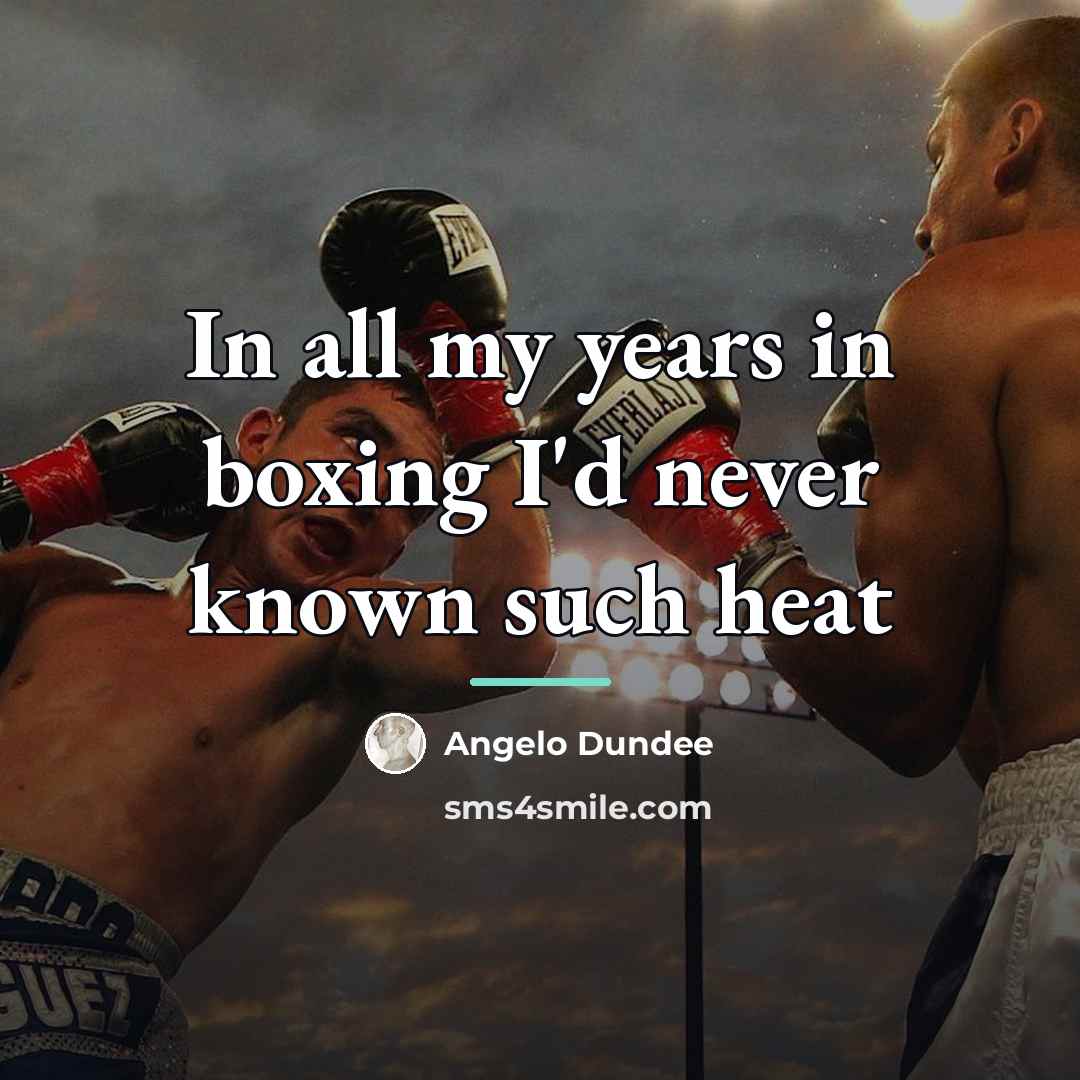 “In all my years in boxing I'd never known such…” quote by Angelo Dundee