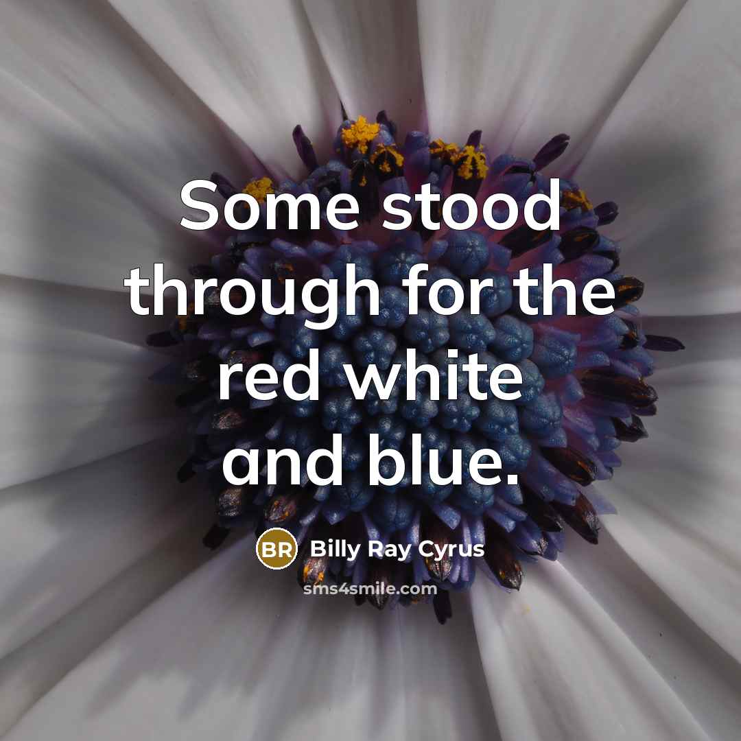 “Some stood through for the red white and blue.” quote by Billy Ray Cyrus
