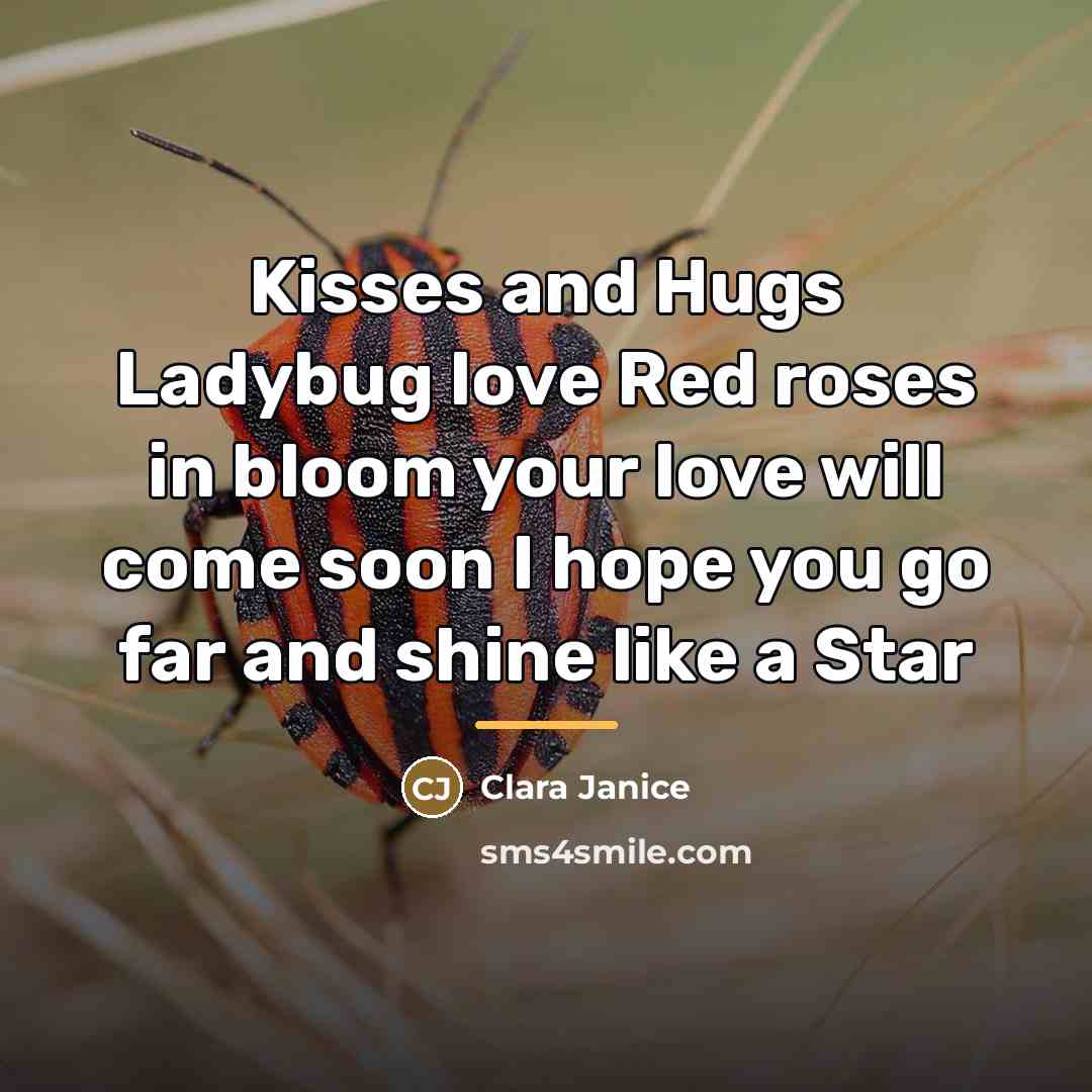 “Kisses and Hugs Ladybug love Red roses in bloom your…” quote by Clara Janice