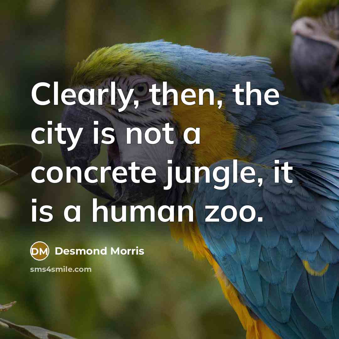 “Clearly, then, the city is not a concrete jungle, it is a human zoo.” quote by Desmond Morris