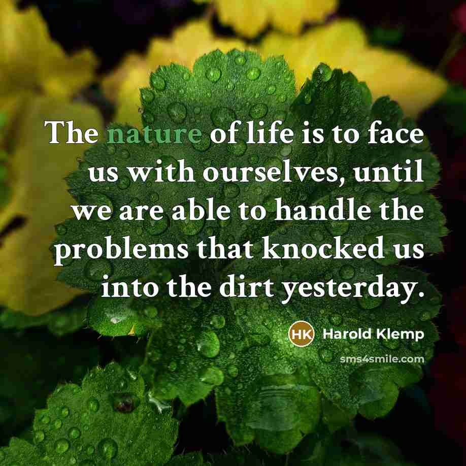 “The nature of life is to face us with ourselves,…” quote by Harold Klemp