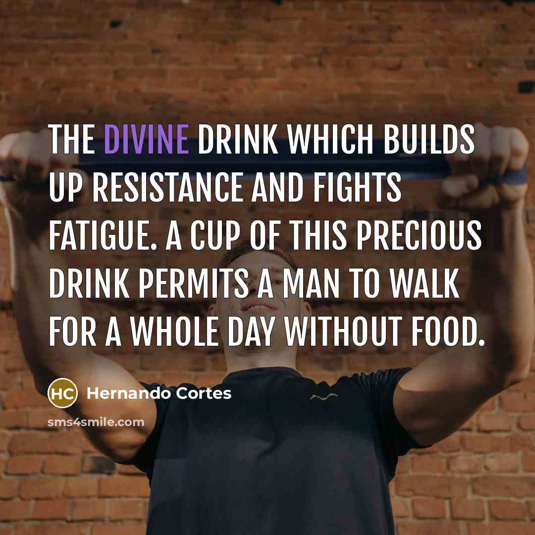 “The divine drink which builds up resistance and fights fatigue.…” quote by Hernando Cortes
