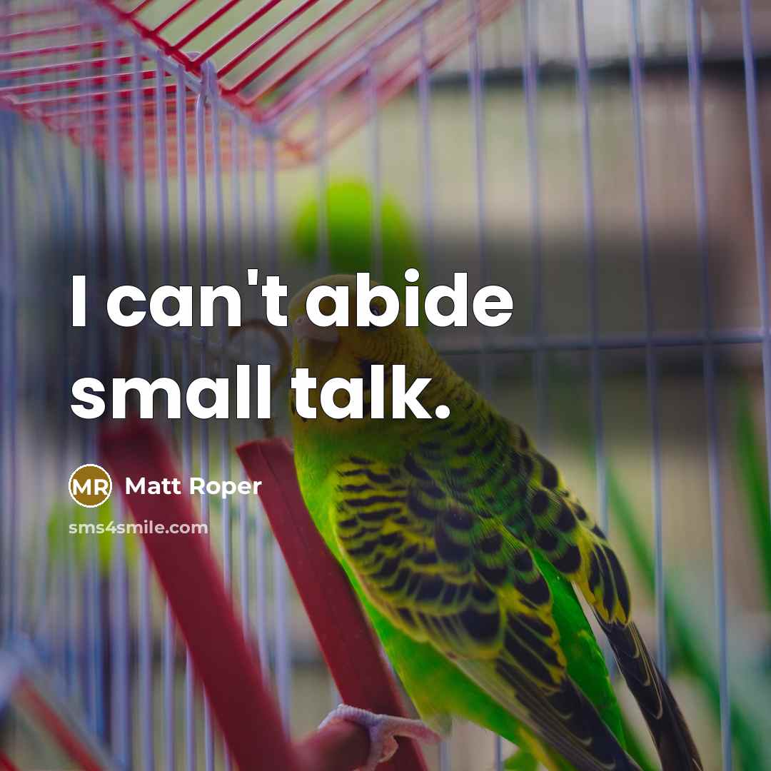 “I can't abide small talk.” quote by Matt Roper