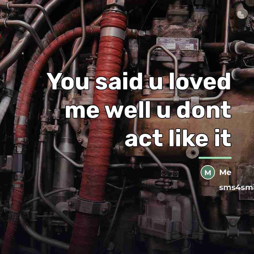 “You said u loved me well u dont act like…” quote by Me
