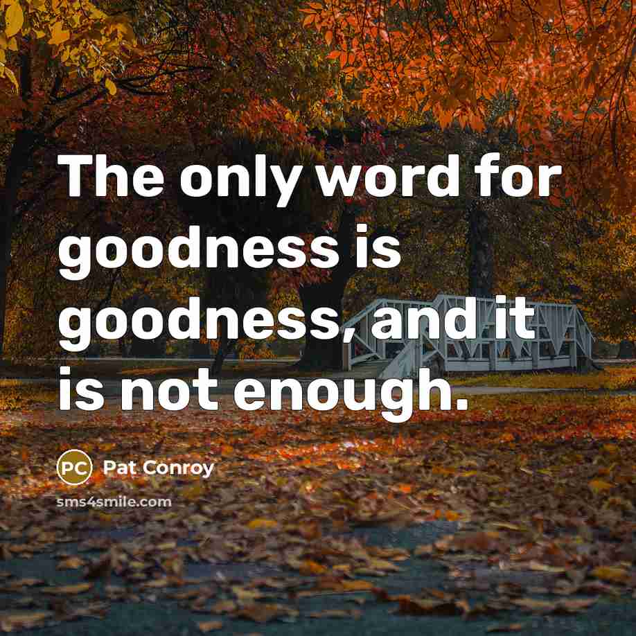 “The only word for goodness is goodness, and it is…” quote by Pat Conroy