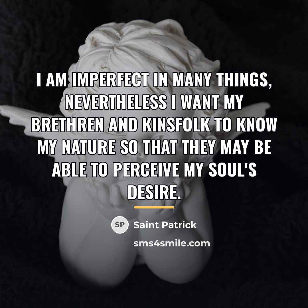 “I am imperfect in many things, nevertheless I want my…” quote by Saint Patrick