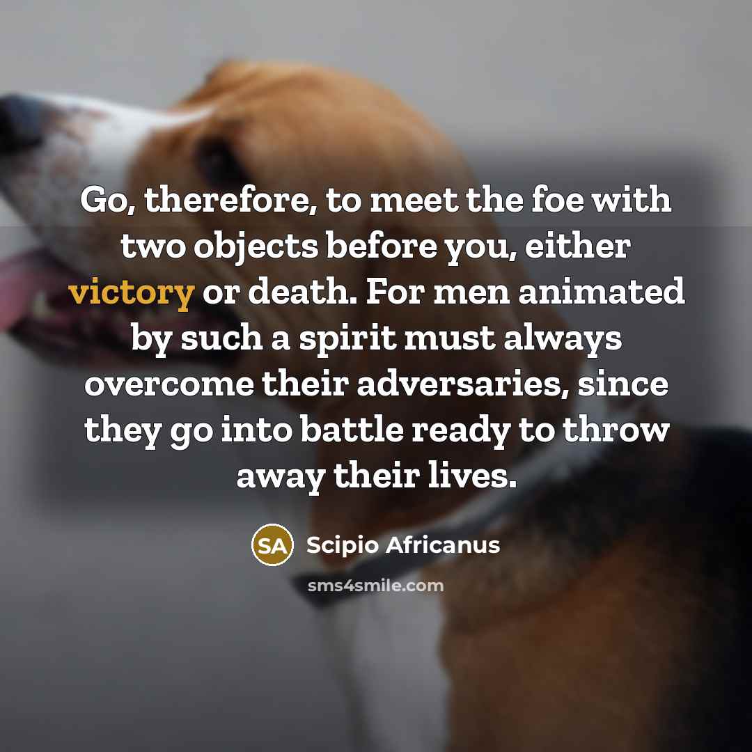 “Go, therefore, to meet the foe with two objects before…” quote by Scipio Africanus