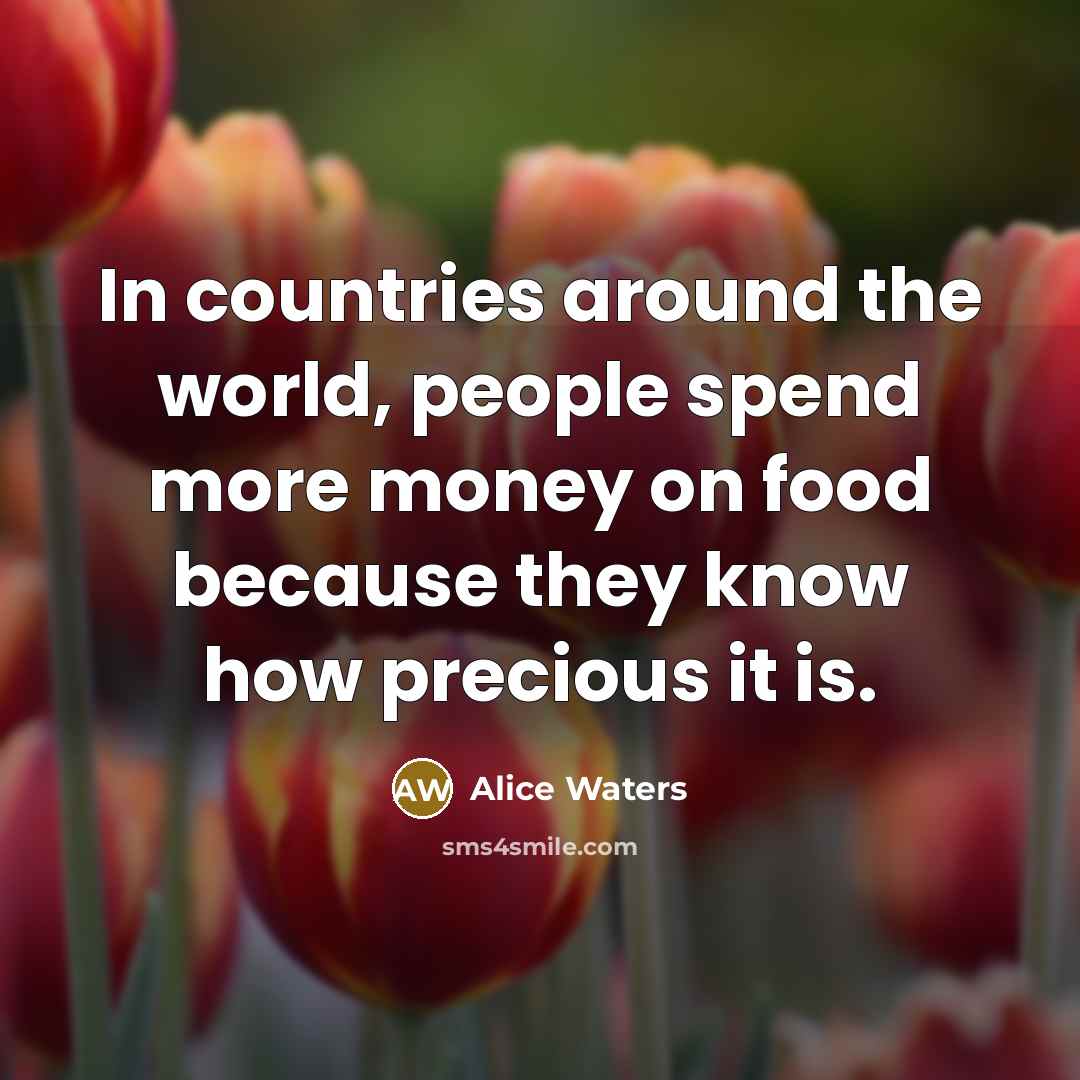 “In countries around the world, people spend more money on…” quote by Alice Waters
