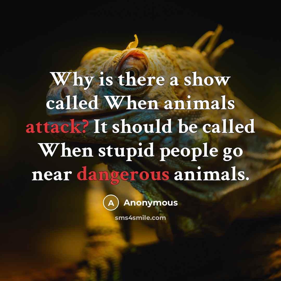 “Why is there a show called When animals attack? It should be called When stupid people go near dangerous animals.” quote by Anonymous