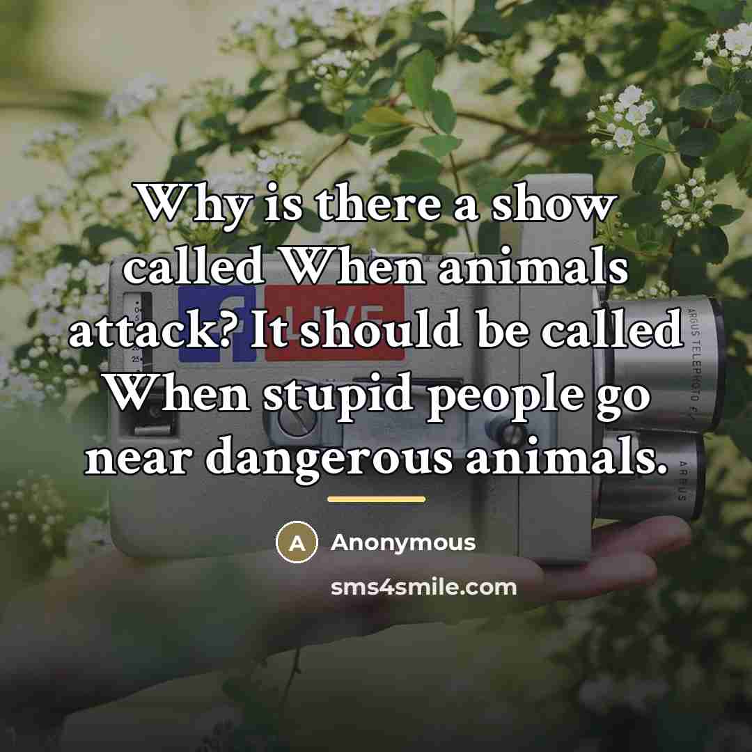 “Why is there a show called When animals attack? It…” quote by Anonymous
