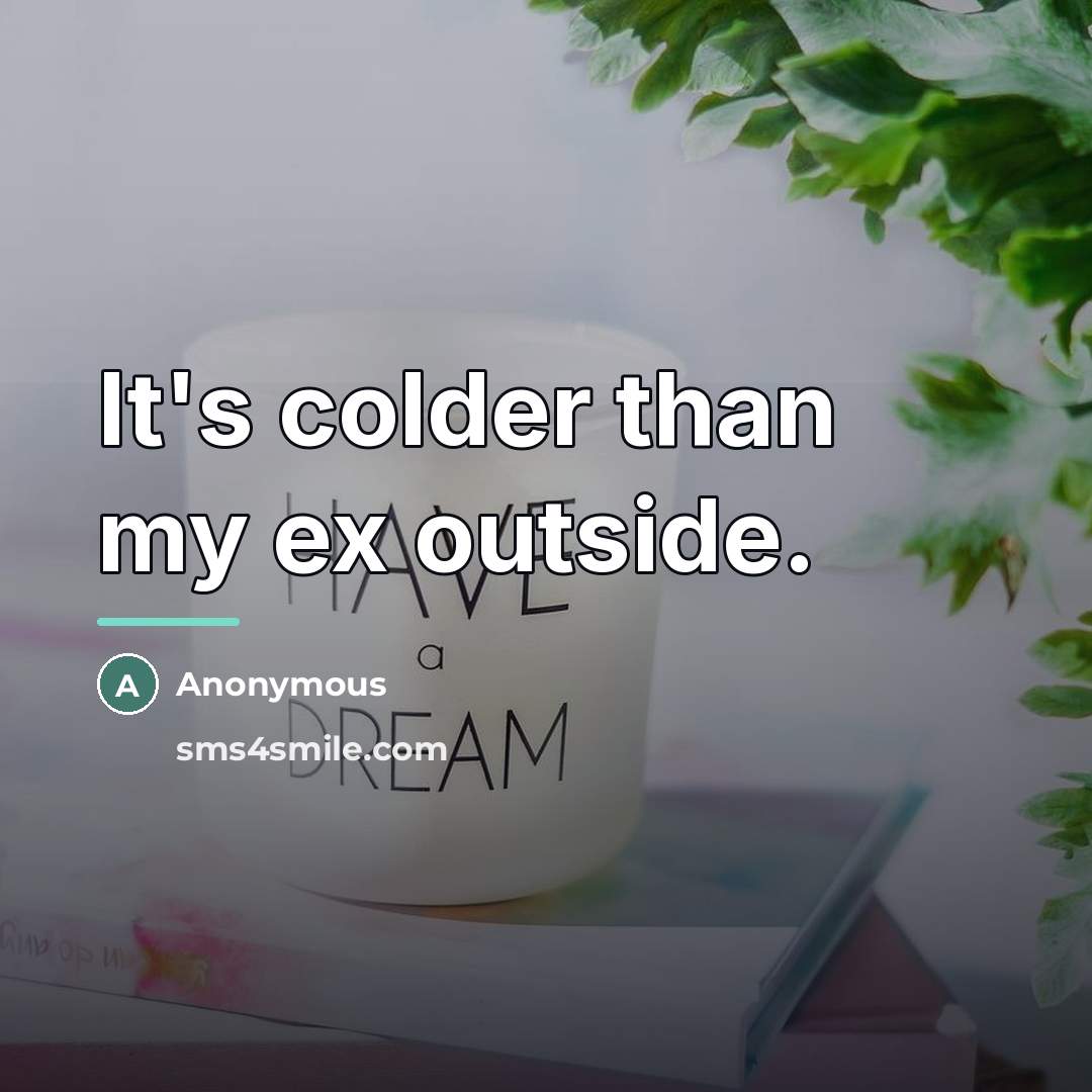 “It's colder than my ex outside.…” quote by Anonymous