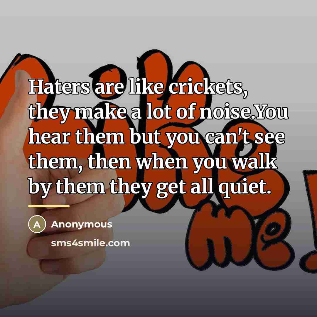 “Haters are like crickets, they make a lot of noise.You…” quote by Anonymous