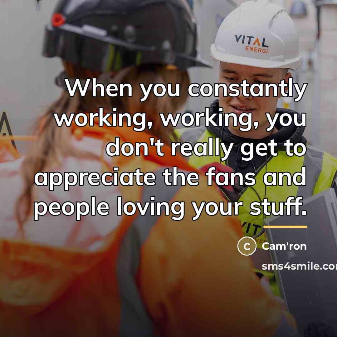 “When you constantly working, working, you don't really get to…” quote by Cam'ron