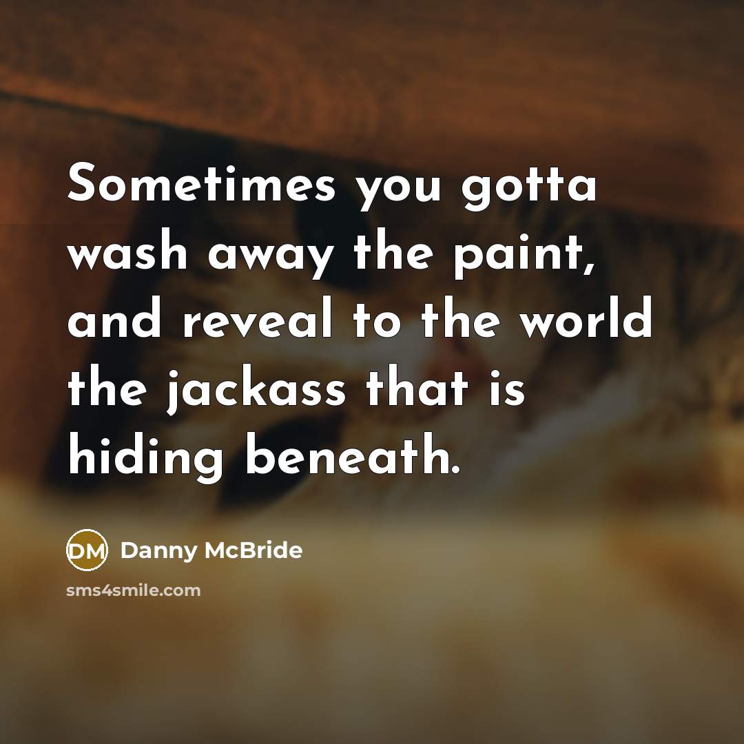 “Sometimes you gotta wash away the paint, and reveal to…” quote by Danny Mcbride