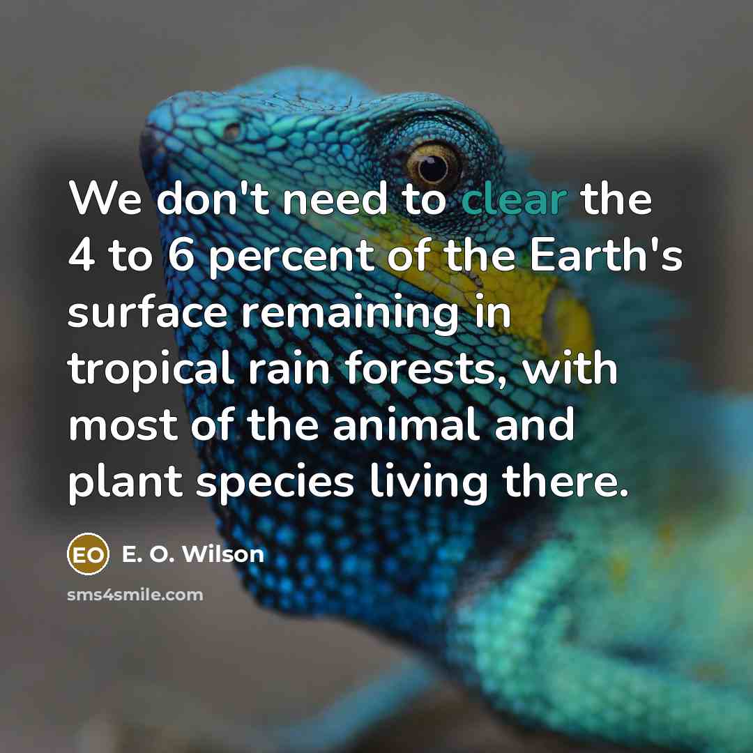“We don't need to clear the 4 to 6 percent…” quote by E. O. Wilson