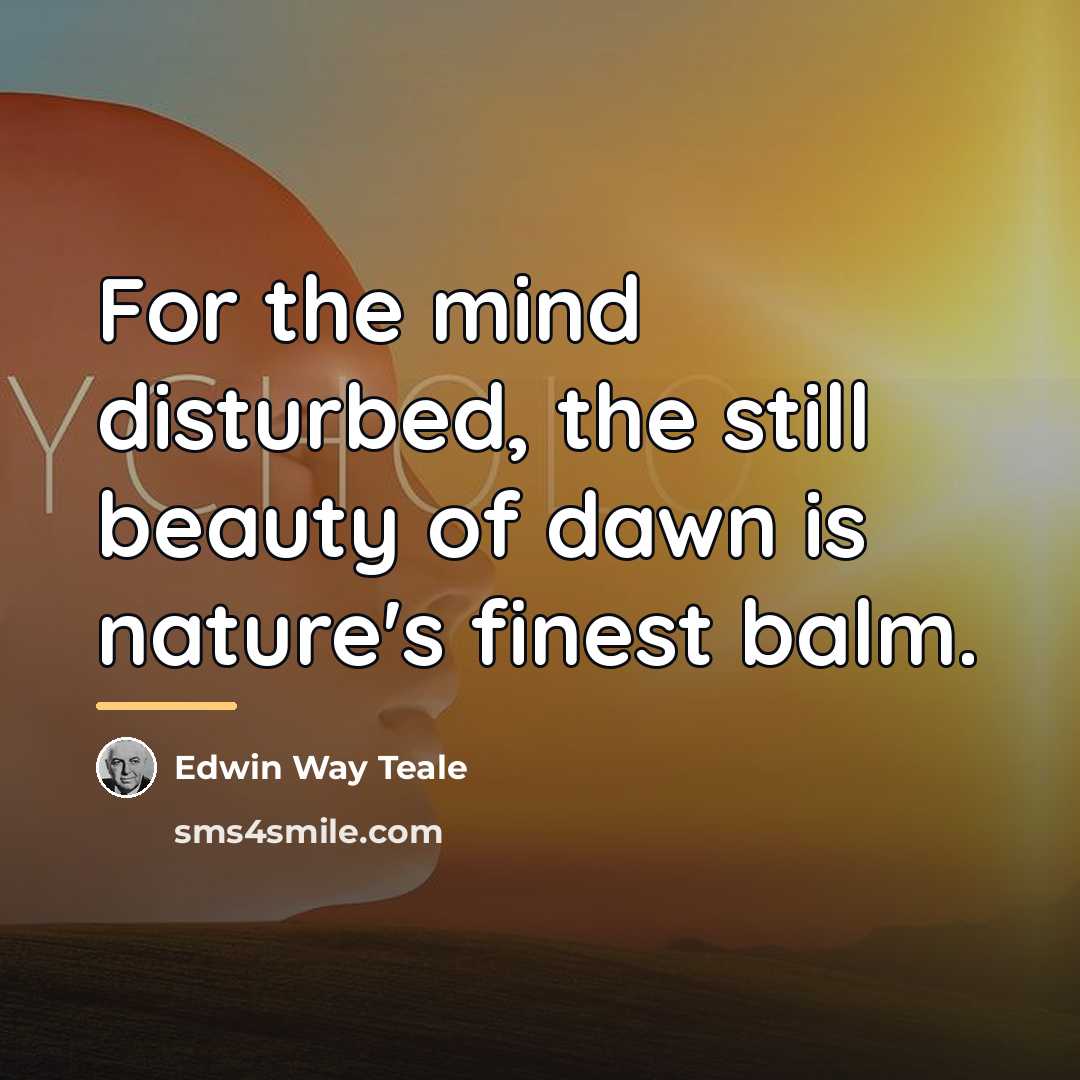 “For the mind disturbed, the still beauty of dawn is…” quote by Edwin Way Teale