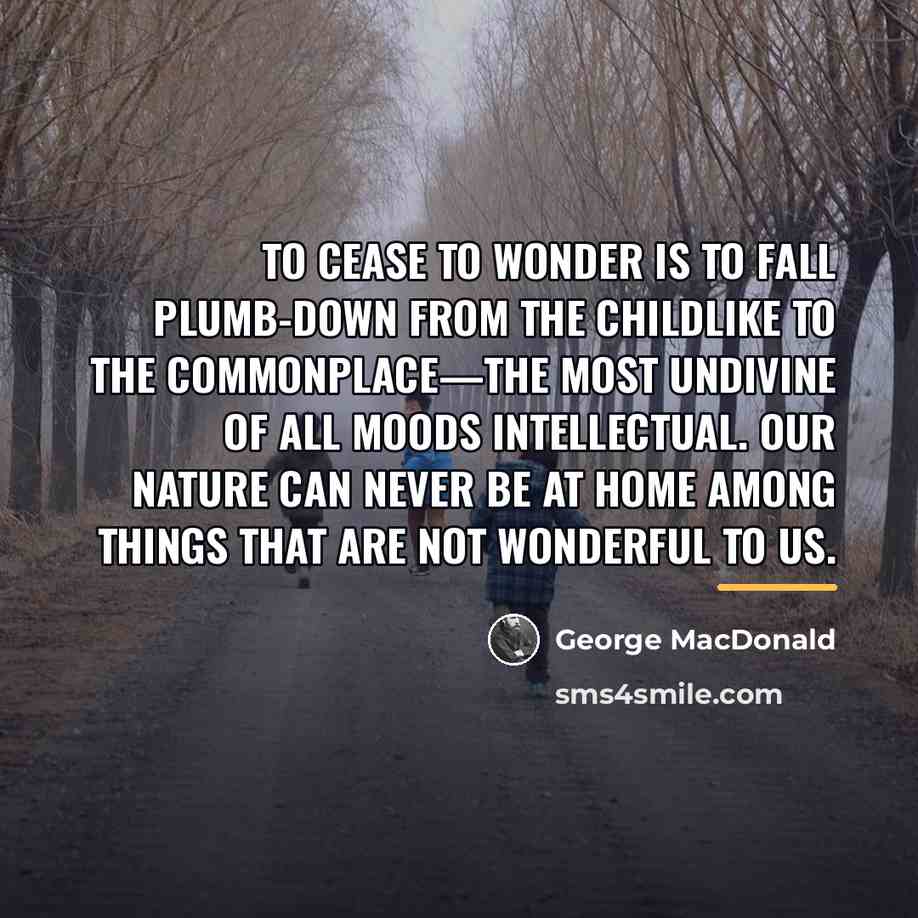 “To cease to wonder is to fall plumb-down from the…” quote by George MacDonald