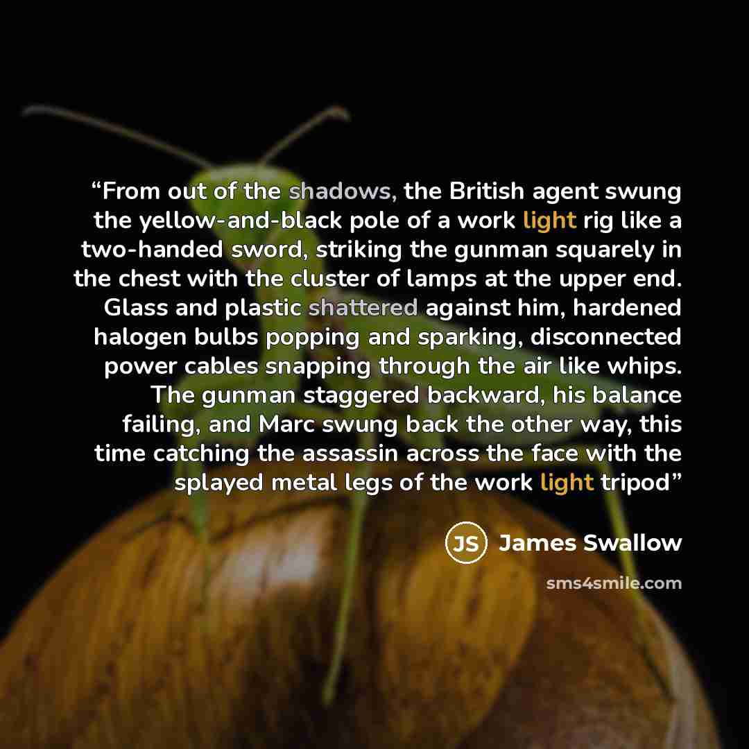 “From out of the shadows, the British agent swung the yellow-and-black pole of a work light rig like a two-handed sword, striking the gunman squarely in the chest with the cluster of lamps at the upper end. Glass and plastic shattered against him, hardened halogen bulbs popping and sparking…” quote by James Swallow