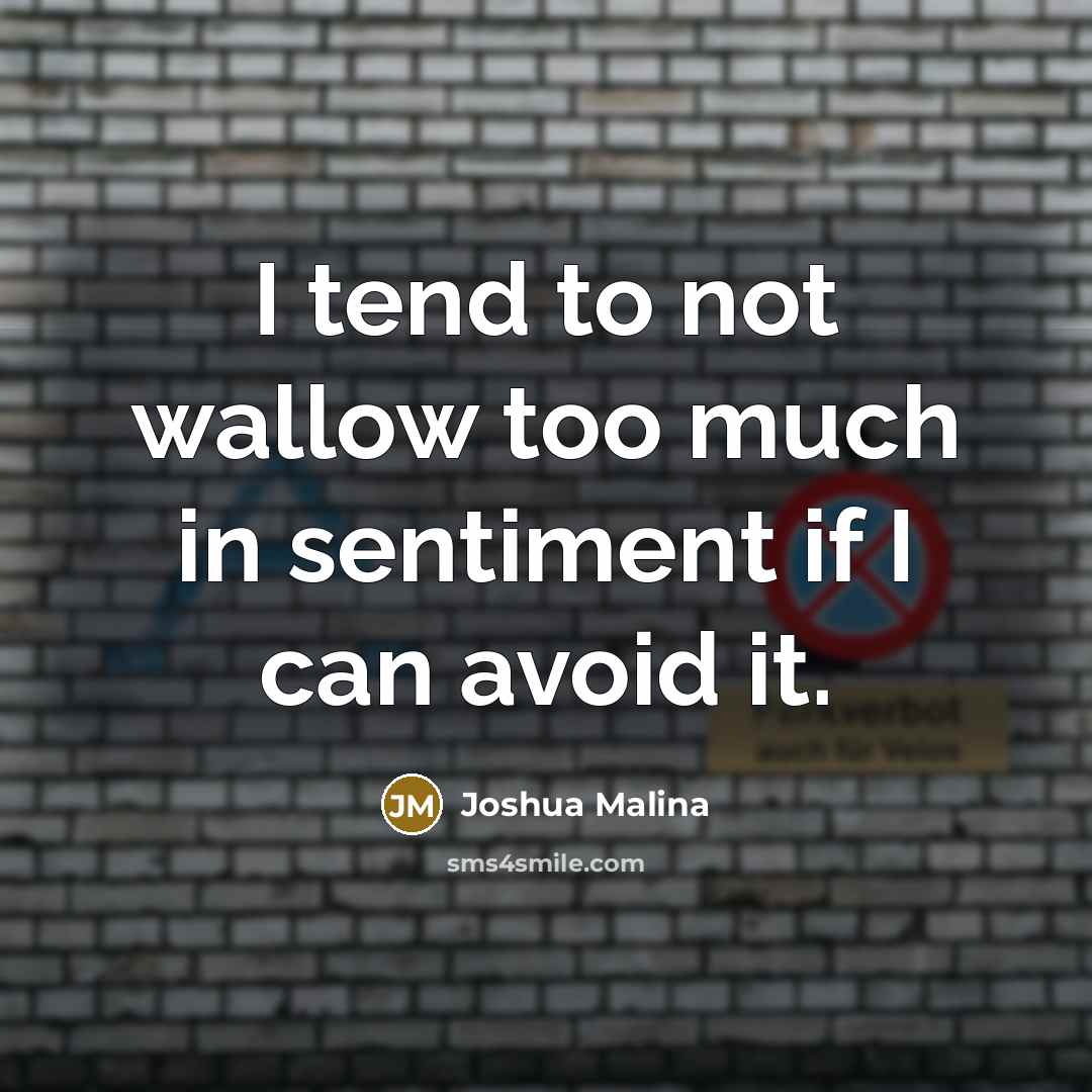 “I tend to not wallow too much in sentiment if…” quote by Joshua Malina