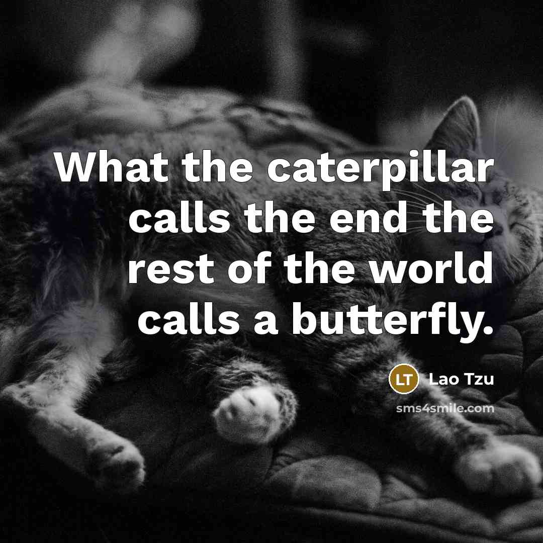 “What the caterpillar calls the end the rest of the world calls a butterfly.” quote by Lao Tzu