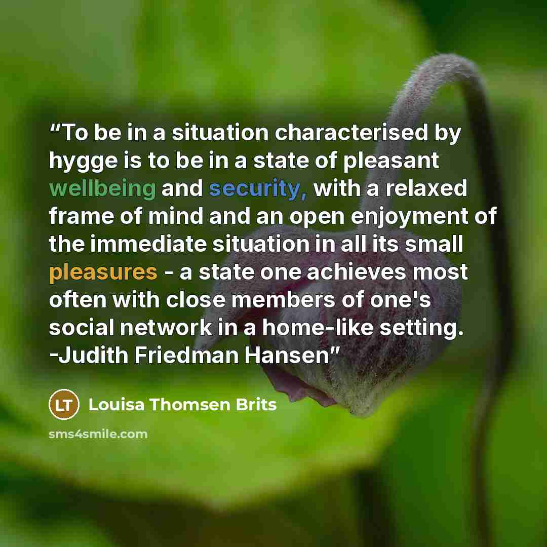 “To be in a situation characterised by hygge is to be in a state of pleasant wellbeing and security, with a relaxed frame of mind and an open enjoyment of the immediate situation in all its small pleasures - a state one achieves most often with close members of one's social network in a home-like…” quote by Louisa Thomsen Brits