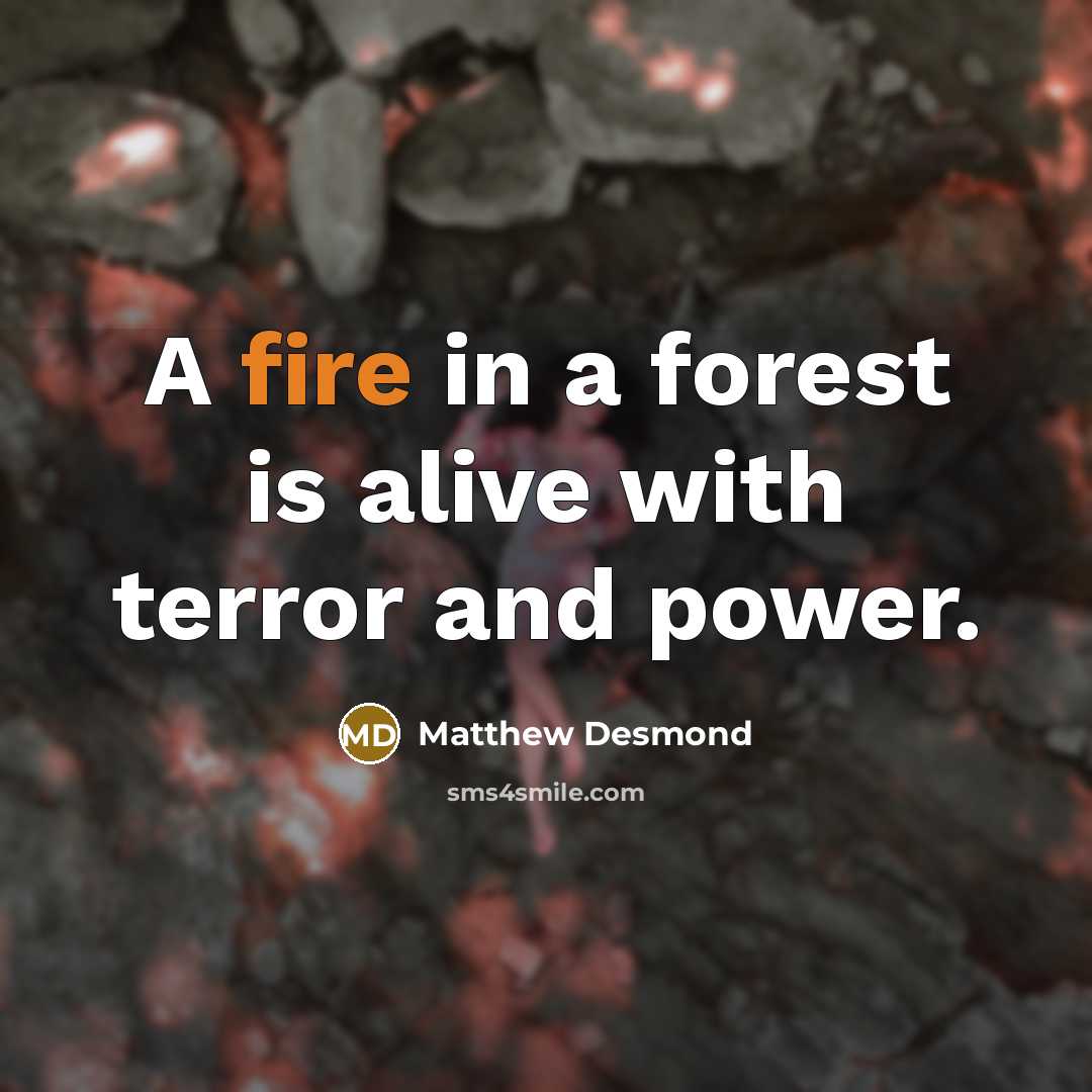“A fire in a forest is alive with terror and…” quote by Matthew Desmond