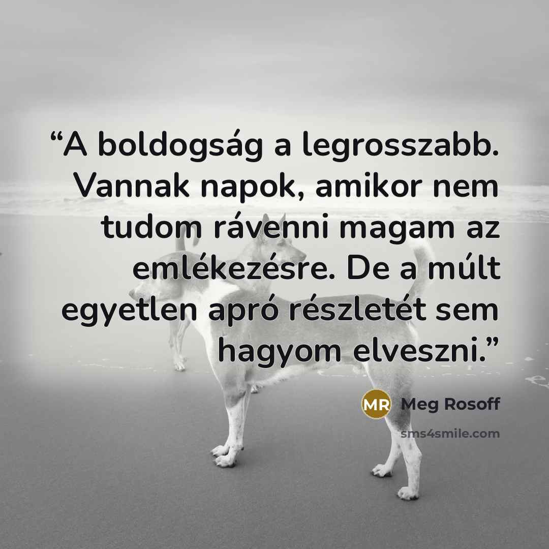 “A boldogság a legrosszabb. Vannak napok, amikor nem tudom rávenni magam az emlékezésre. De a múlt egyetlen apró részletét sem hagyom elveszni.” quote by Meg Rosoff