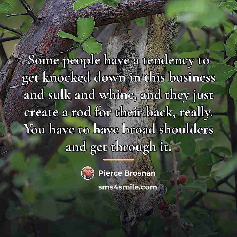 “Some people have a tendency to get knocked down in…” quote by Pierce Brosnan