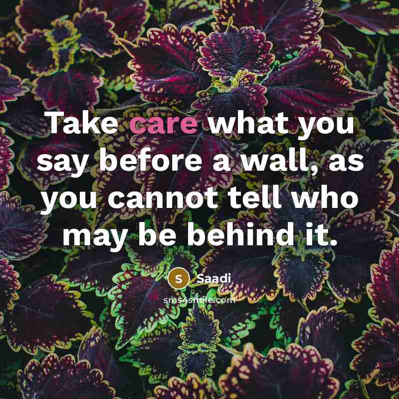“Take care what you say before a wall, as you…” quote by Saadi