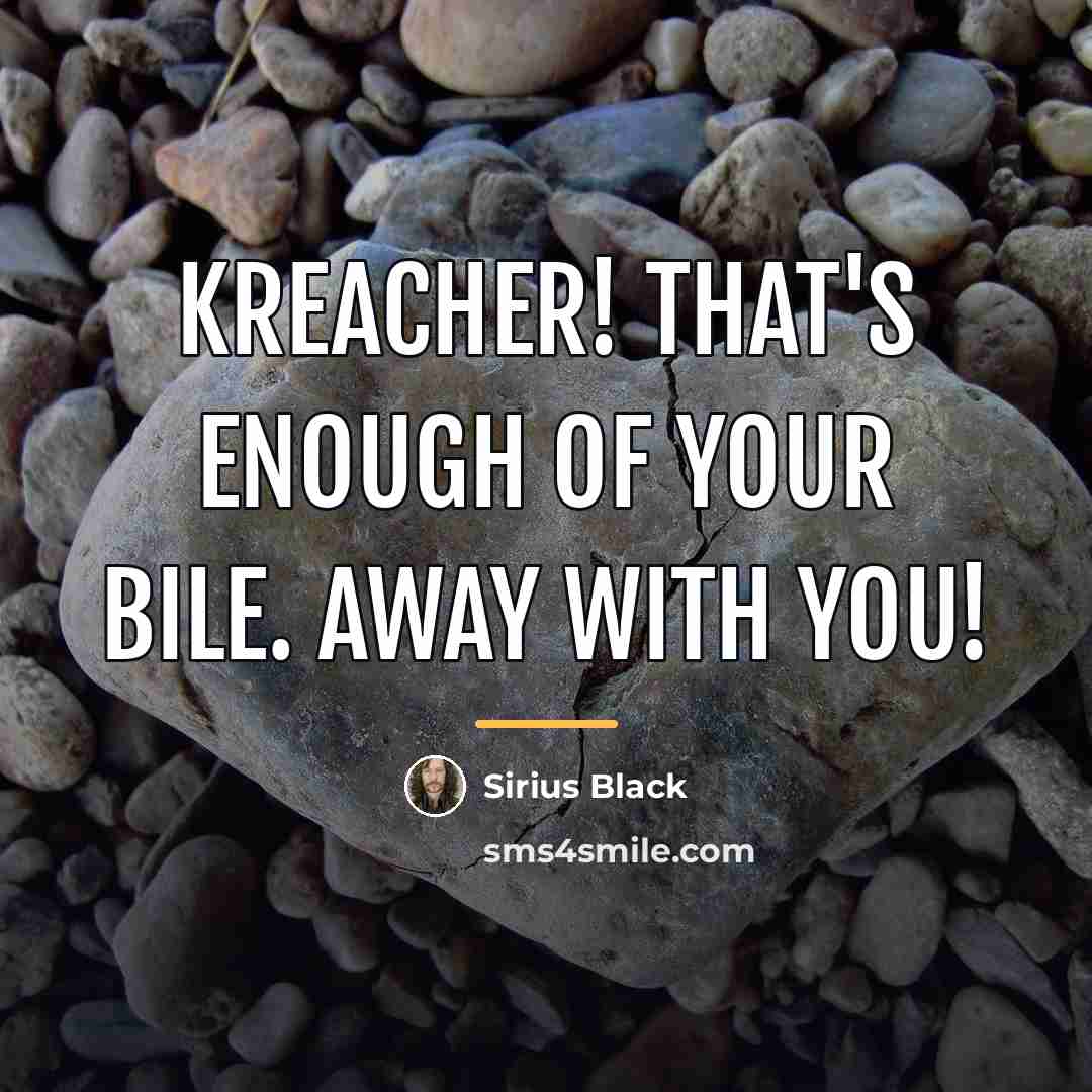 “Kreacher! That's enough of your bile. Away with you!…” quote by Sirius Black