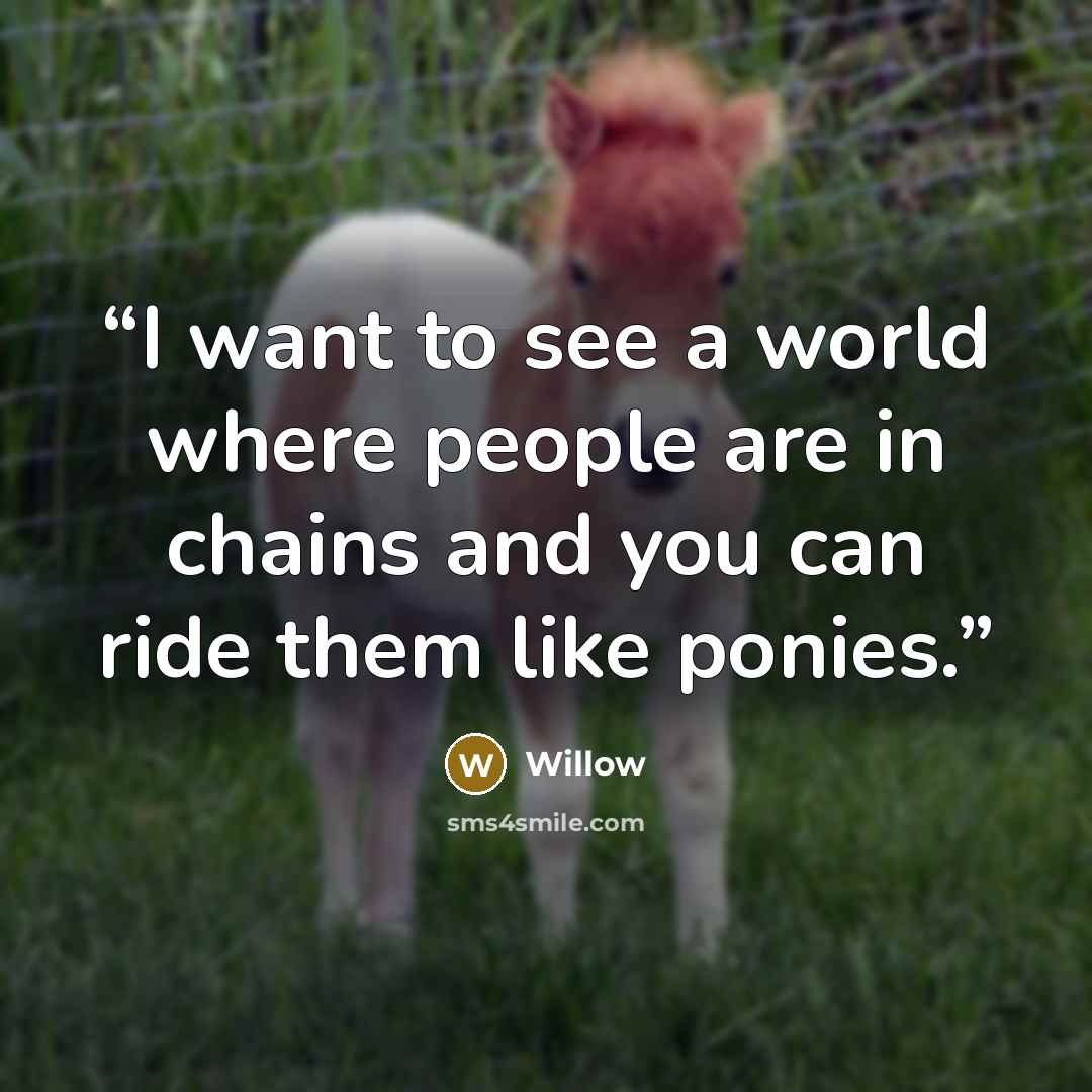 “I want to see a world where people are in chains and you can ride them like ponies.” quote by Willow