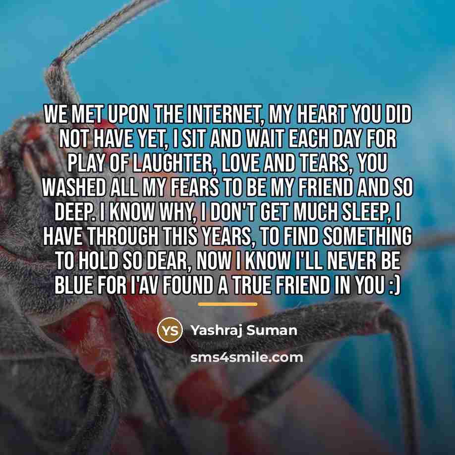 “We met upon the internet, my heart you did not…” quote by Yashraj Suman