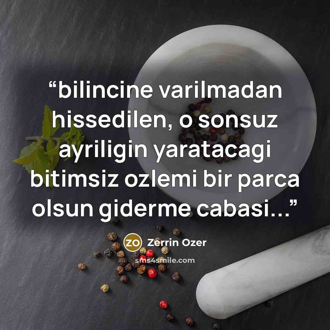 “bilincine varilmadan hissedilen, o sonsuz ayriligin yaratacagi bitimsiz ozlemi bir parca olsun giderme cabasi...” quote by Zerrin Ozer