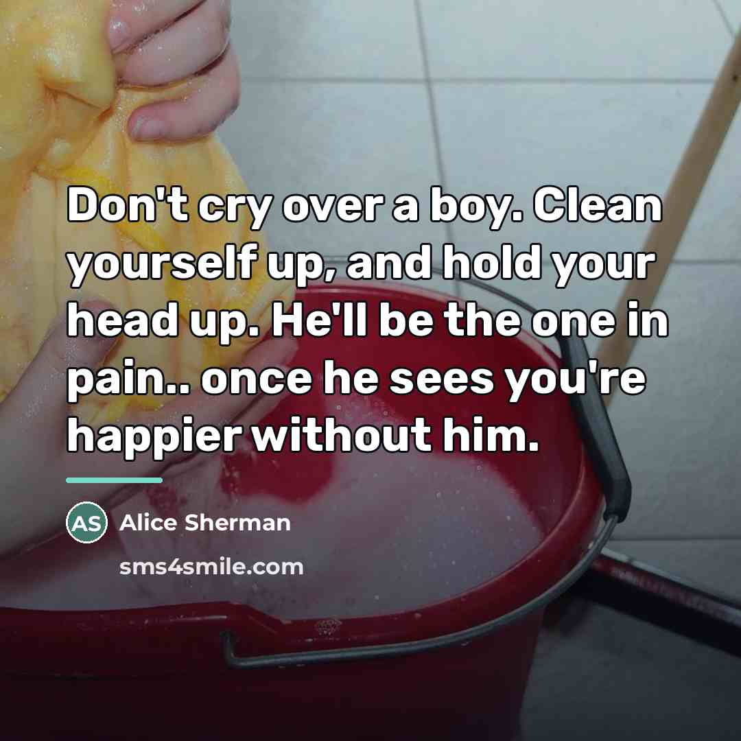 “Don't cry over a boy. Clean yourself up, and hold…” quote by Alice Sherman