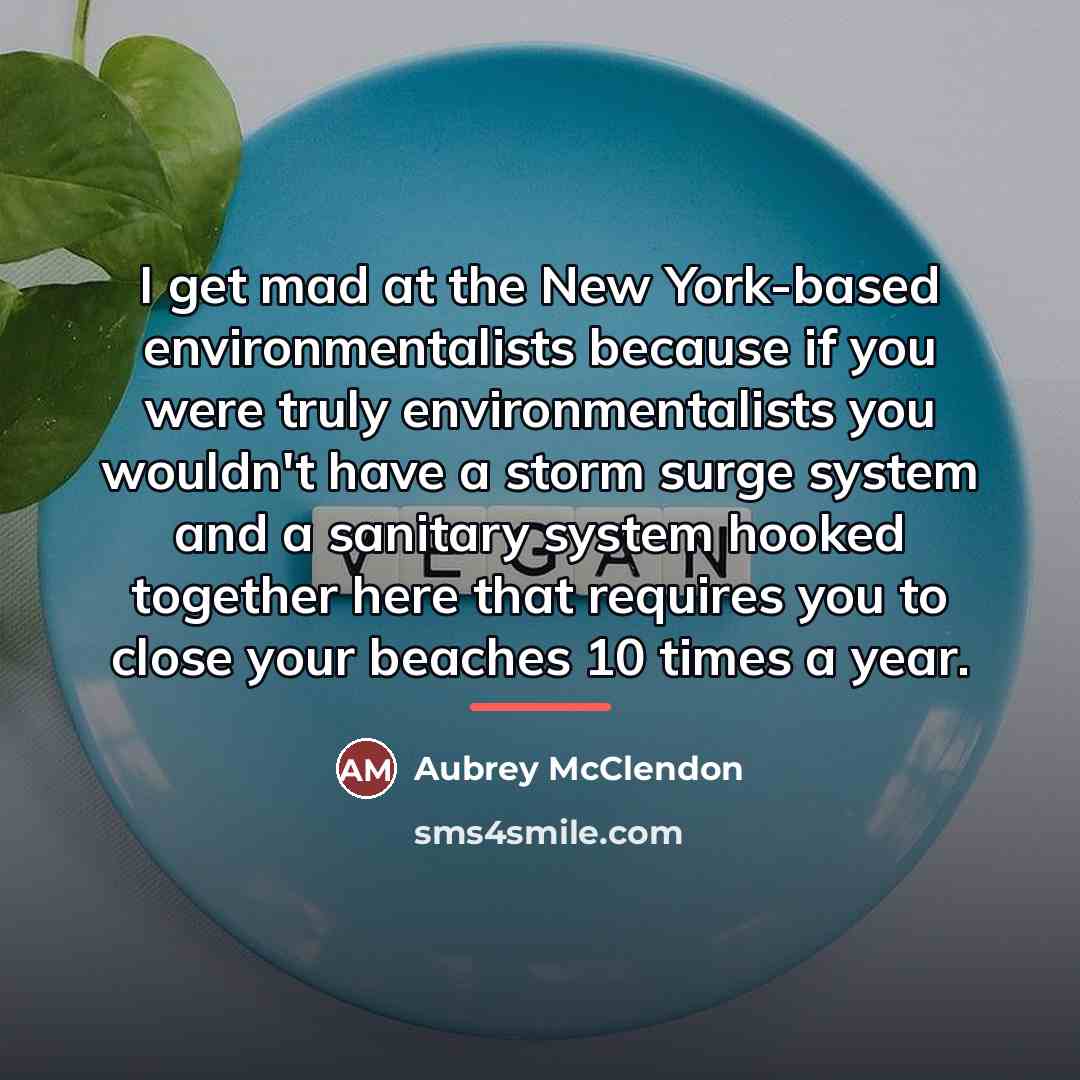 “I get mad at the New York-based environmentalists because if…” quote by Aubrey McClendon