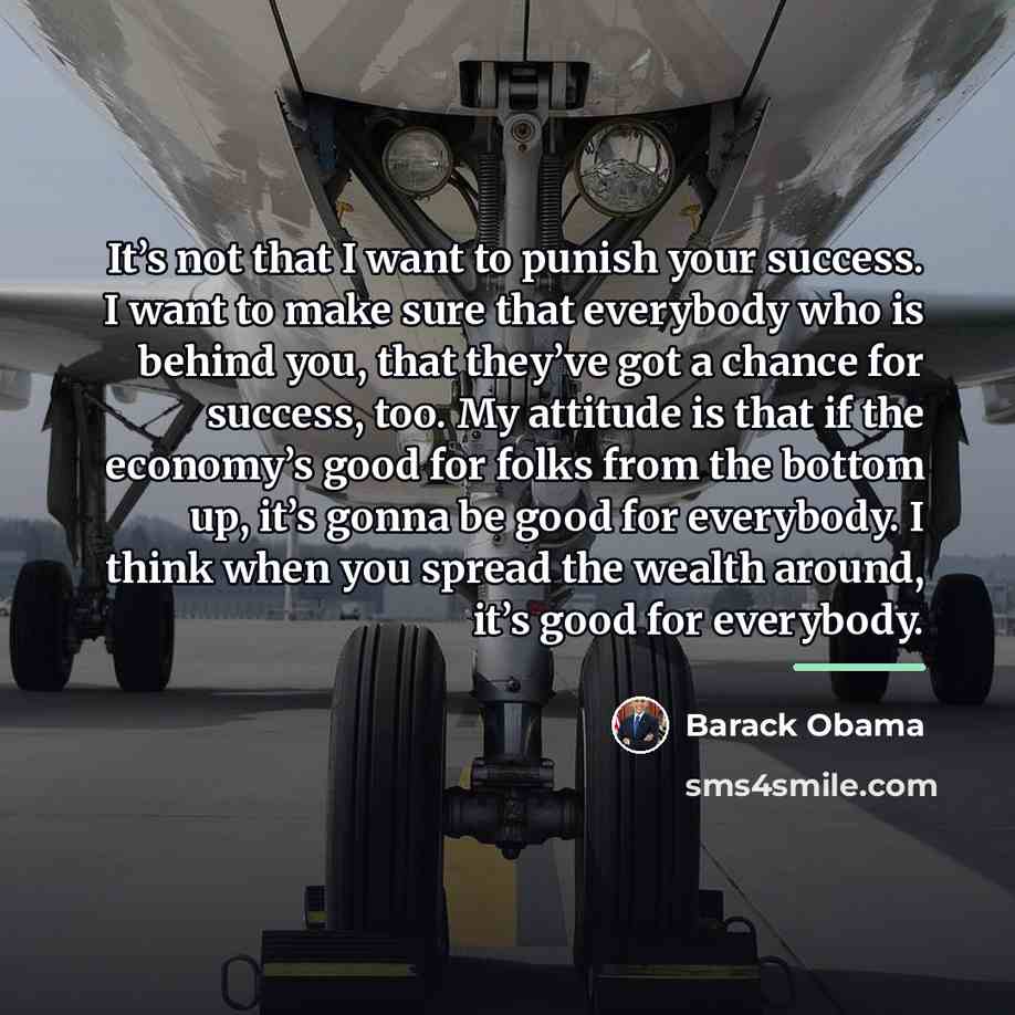 “It’s not that I want to punish your success. I…” quote by Barack Obama