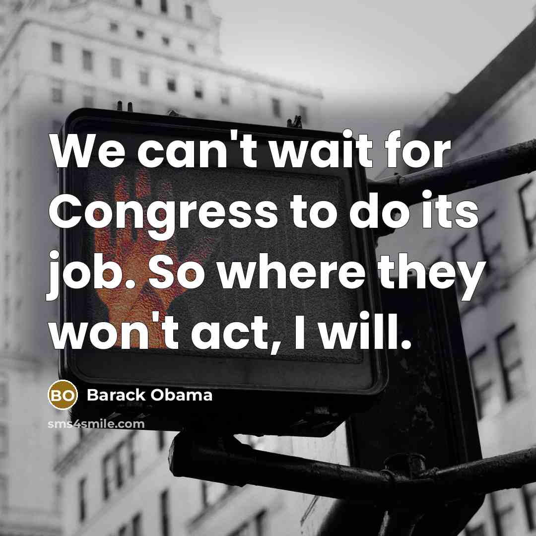 “We can't wait for Congress to do its job. So…” quote by Barack Obama