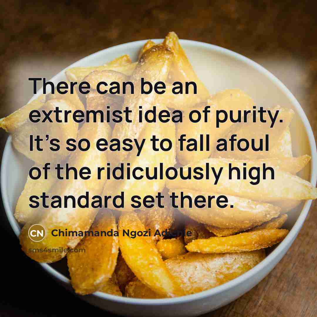 “There can be an extremist idea of purity. It's so…” quote by Chimamanda Ngozi Adichie