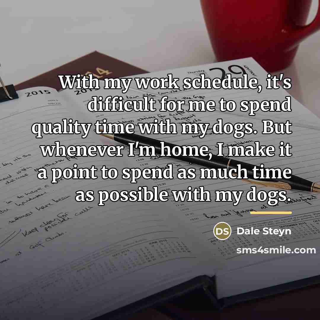 “With my work schedule, it's difficult for me to spend…” quote by Dale Steyn
