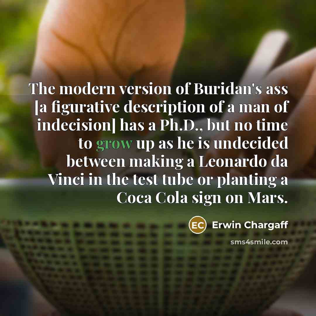 “The modern version of Buridan's ass [a figurative description of…” quote by Erwin Chargaff