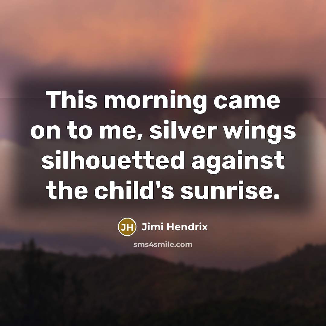 “This morning came on to me, silver wings silhouetted against…” quote by Jimi Hendrix