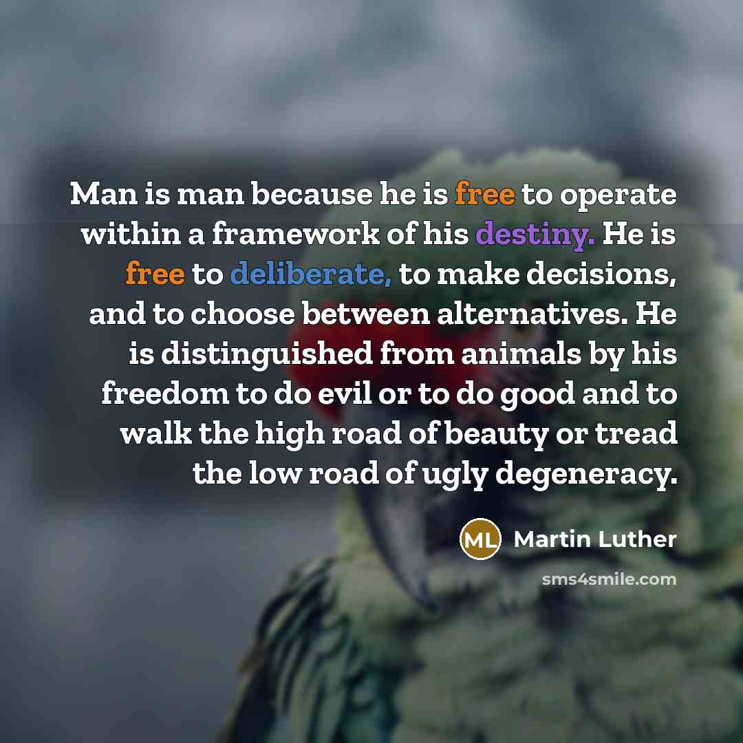 “Man is man because he is free to operate within…” quote by Martin Luther