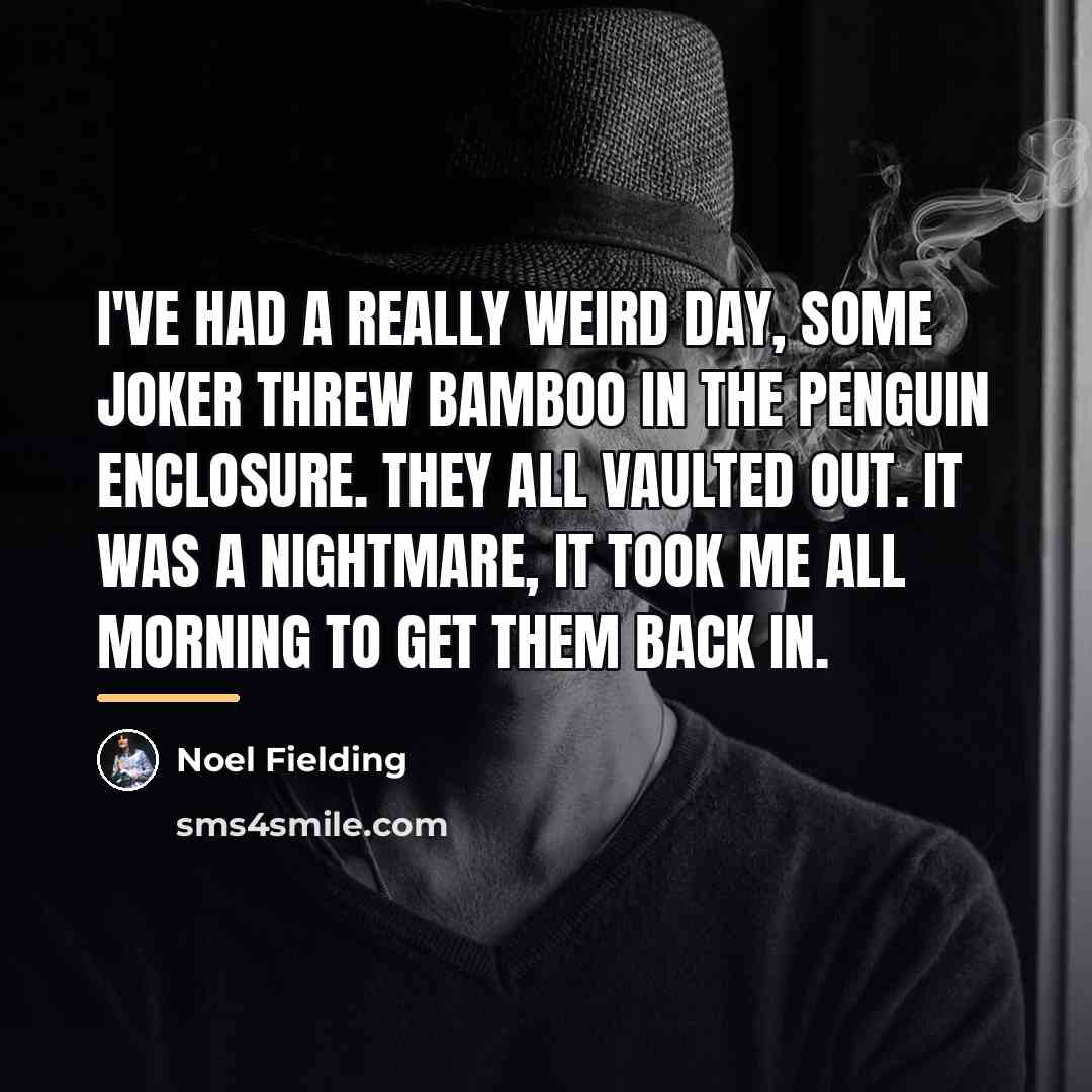 “I've had a really weird day, some joker threw bamboo…” quote by Noel Fielding