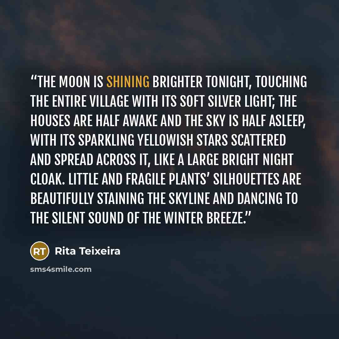 “The moon is shining brighter tonight, touching the entire village with its soft silver light; the houses are half awake and the sky is half asleep, with its sparkling yellowish stars scattered and spread across it, like a large bright night cloak. Little and fragile plants’ silhouettes are…” quote by Rita Teixeira