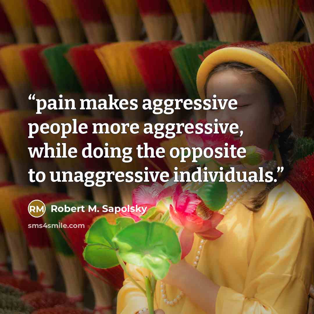 “pain makes aggressive people more aggressive, while doing the opposite to unaggressive individuals.” quote by Robert M. Sapolsky